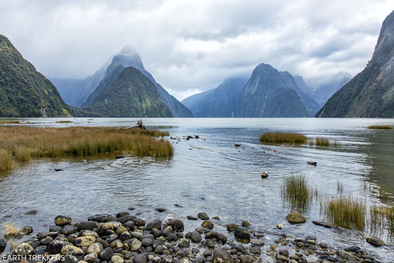 Milford Sound Lookout | Milford Sound Day Trip