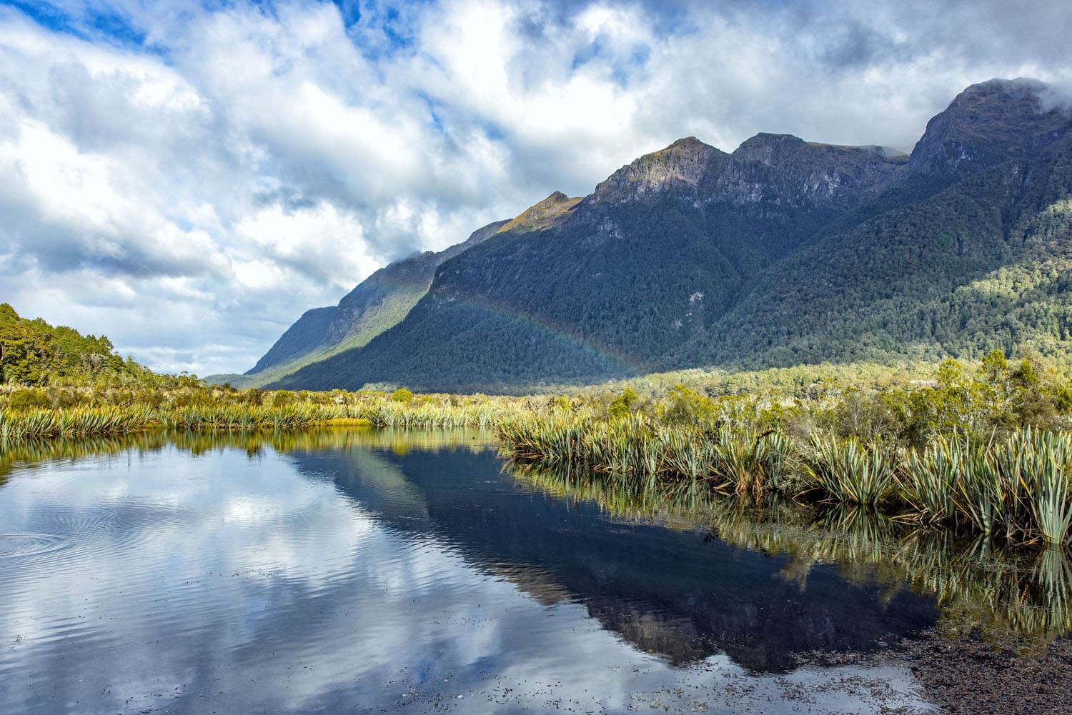 Mirror Lakes New Zealand | Milford Sound Day Trip