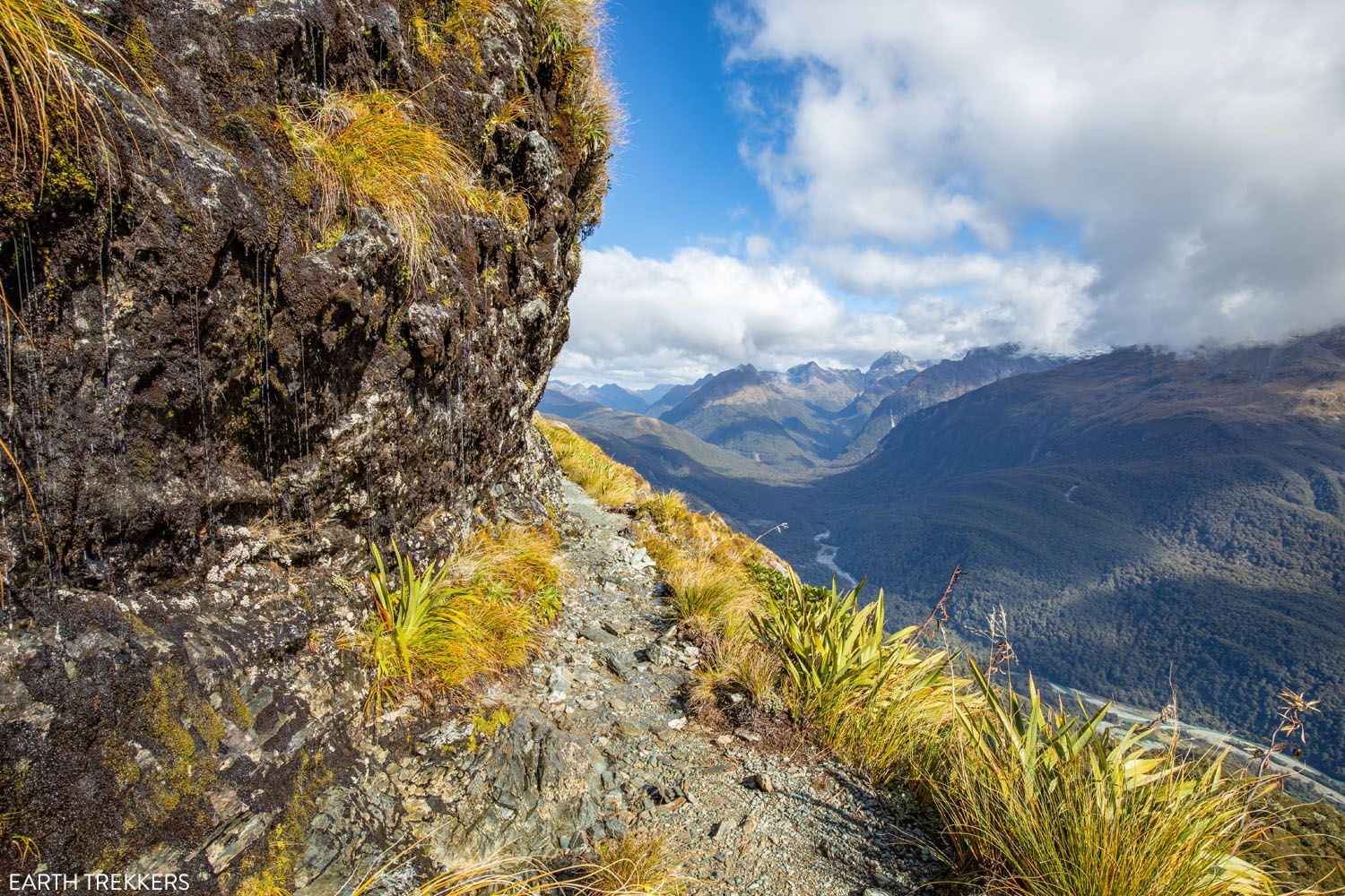 Routeburn Track Trail View
