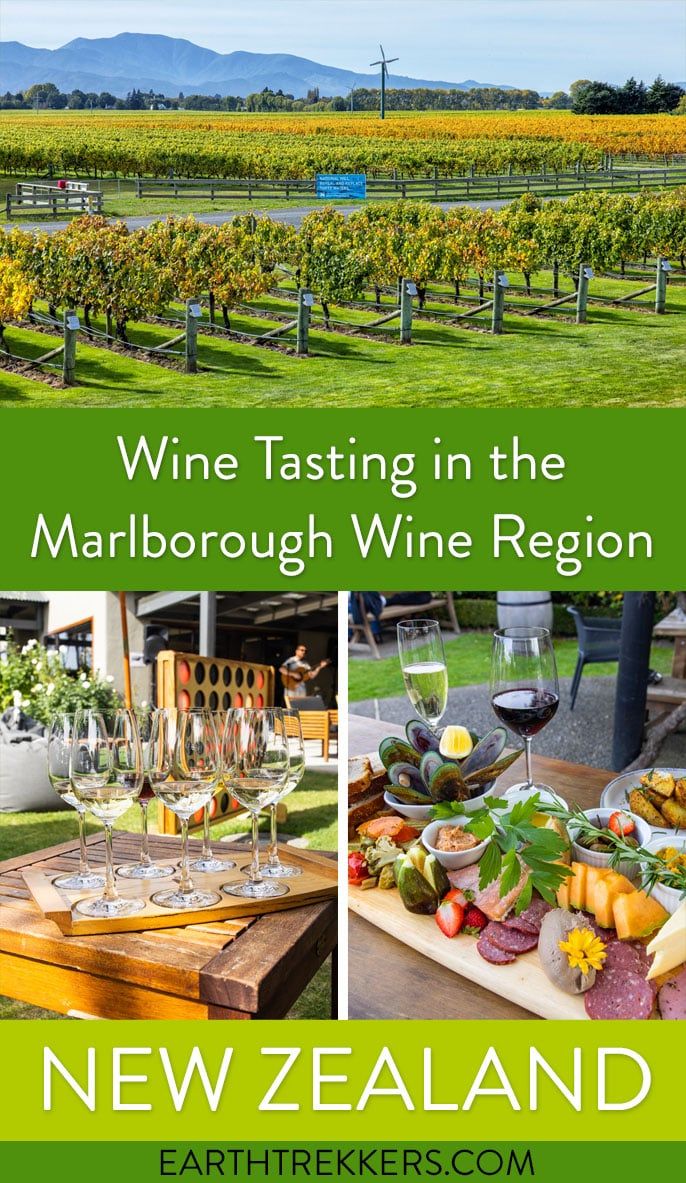 Wine Tasting Marlborough New Zealand