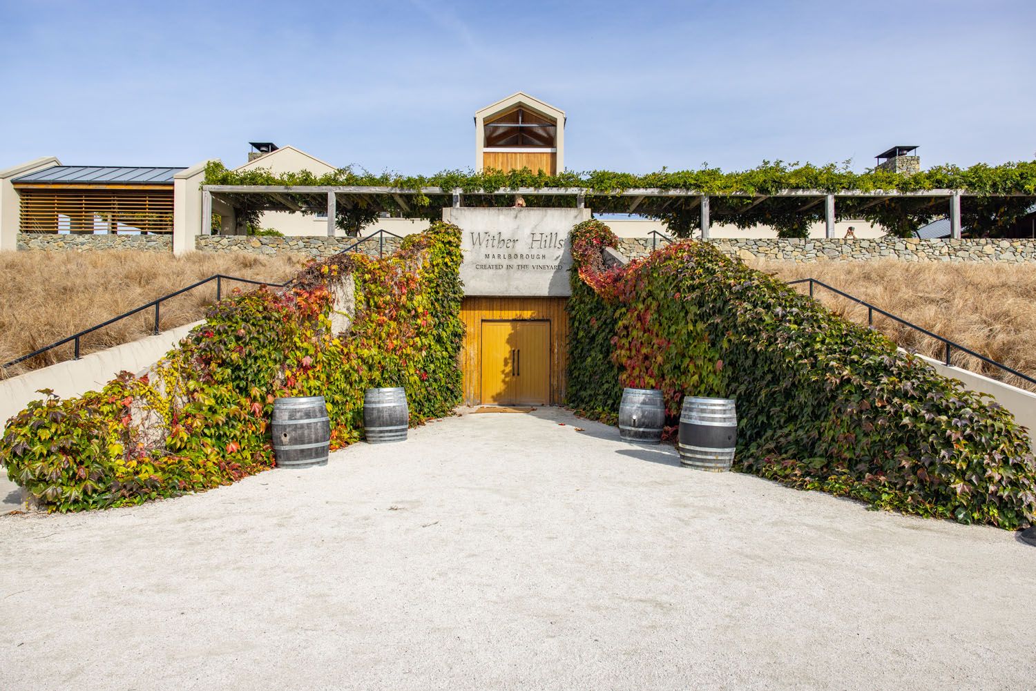 Cloudy Bay Vineyard Tour Marlborough  Activity in Marlborough, New Zealand