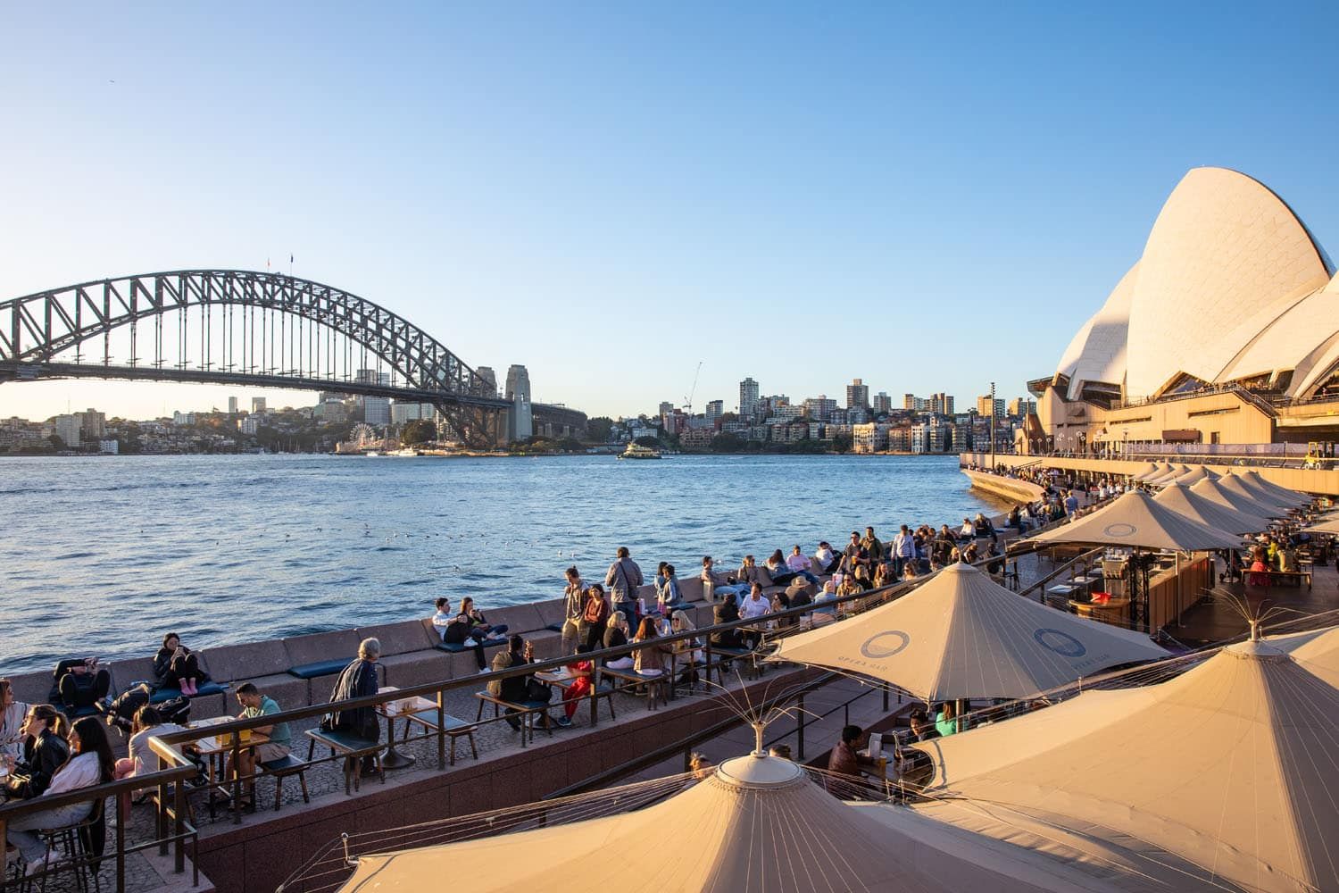 Best Sydney Restaurants | Bars in Sydney
