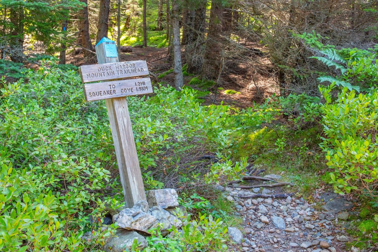 Isle au Haut Hiking Trail Sign