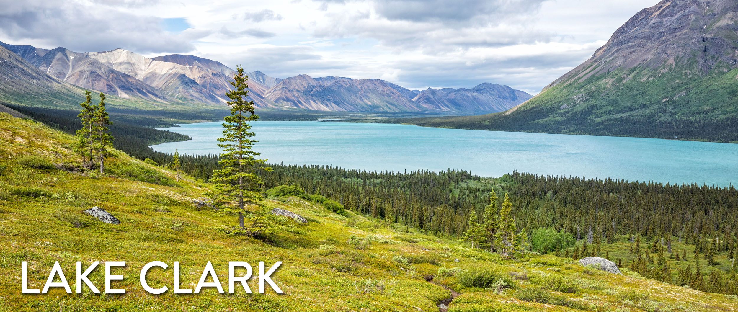 Brown Bears - Lake Clark National Park & Preserve (U.S. National Park Service)