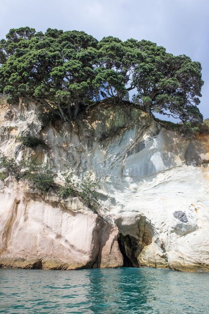 cathedral cove