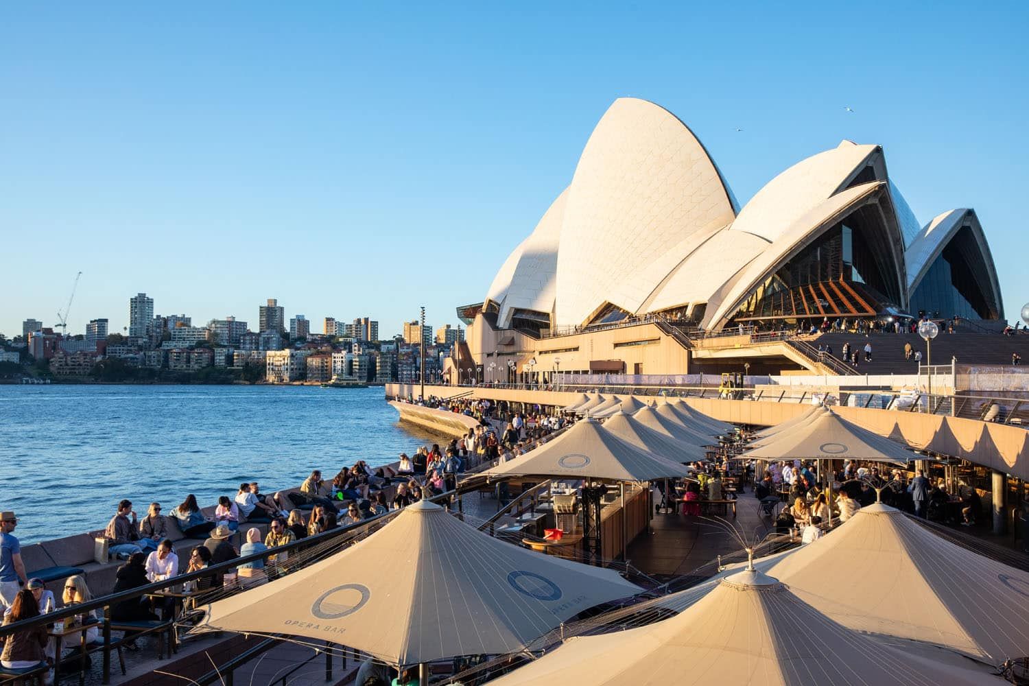 Sydney Opera Bar | Best Views of Sydney