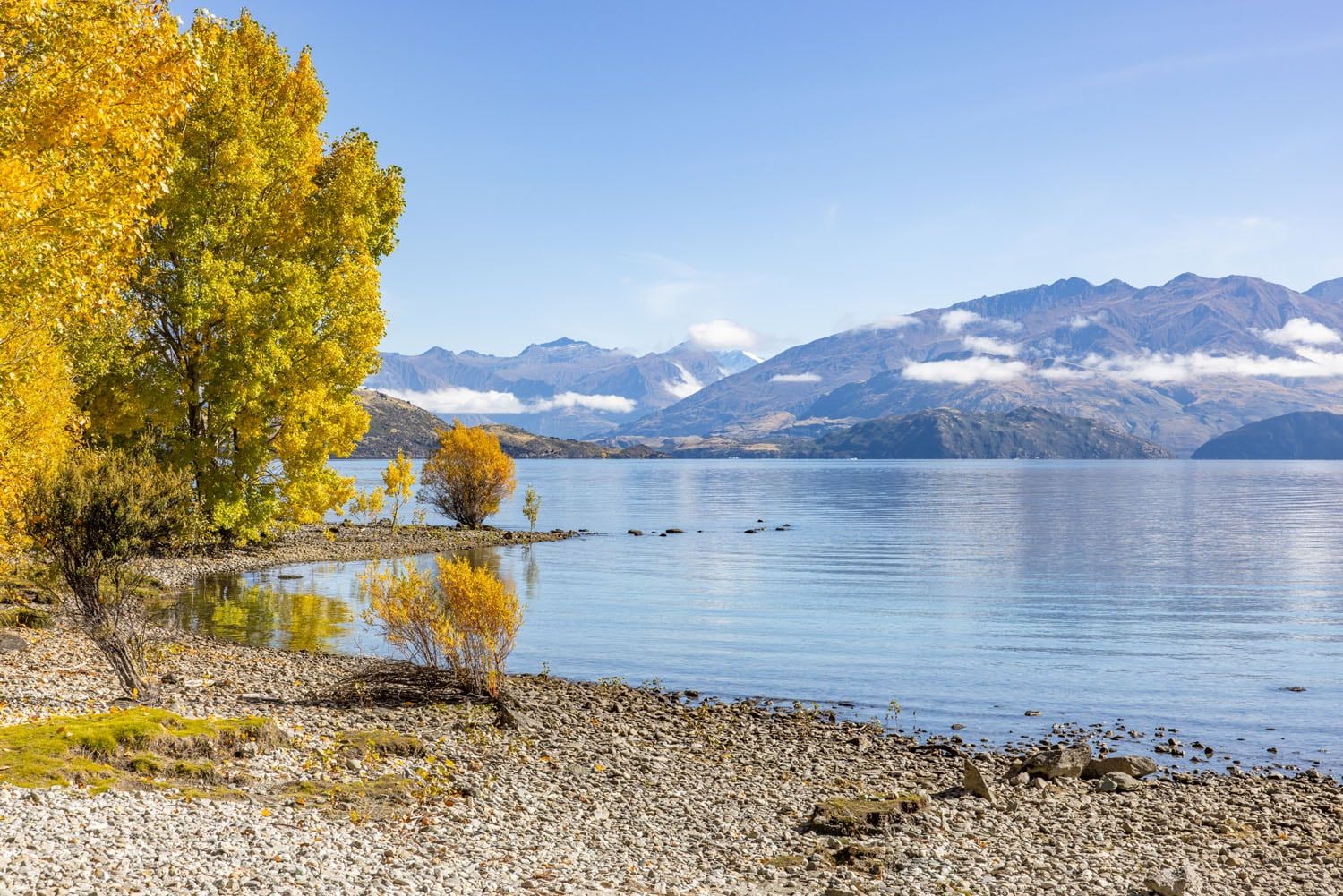 Eely Point Reserve View | Things to Do in Wanaka