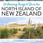 North Island New Zealand Things to Do