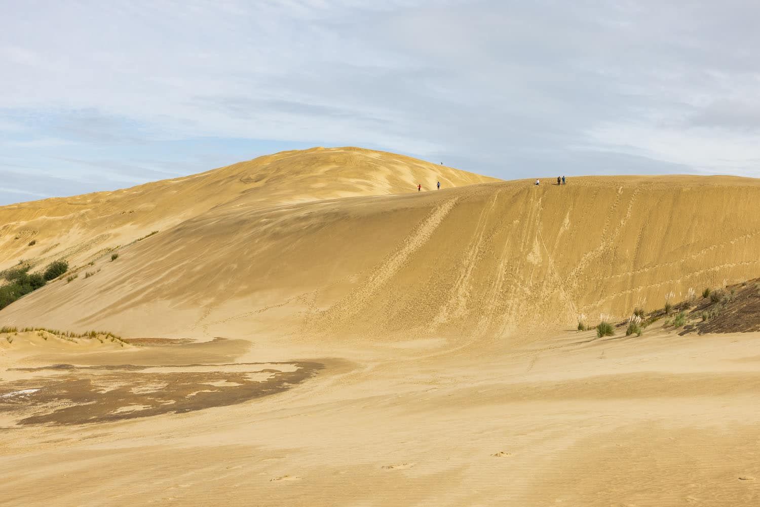 Te Paki Sand Dunes New Zealand