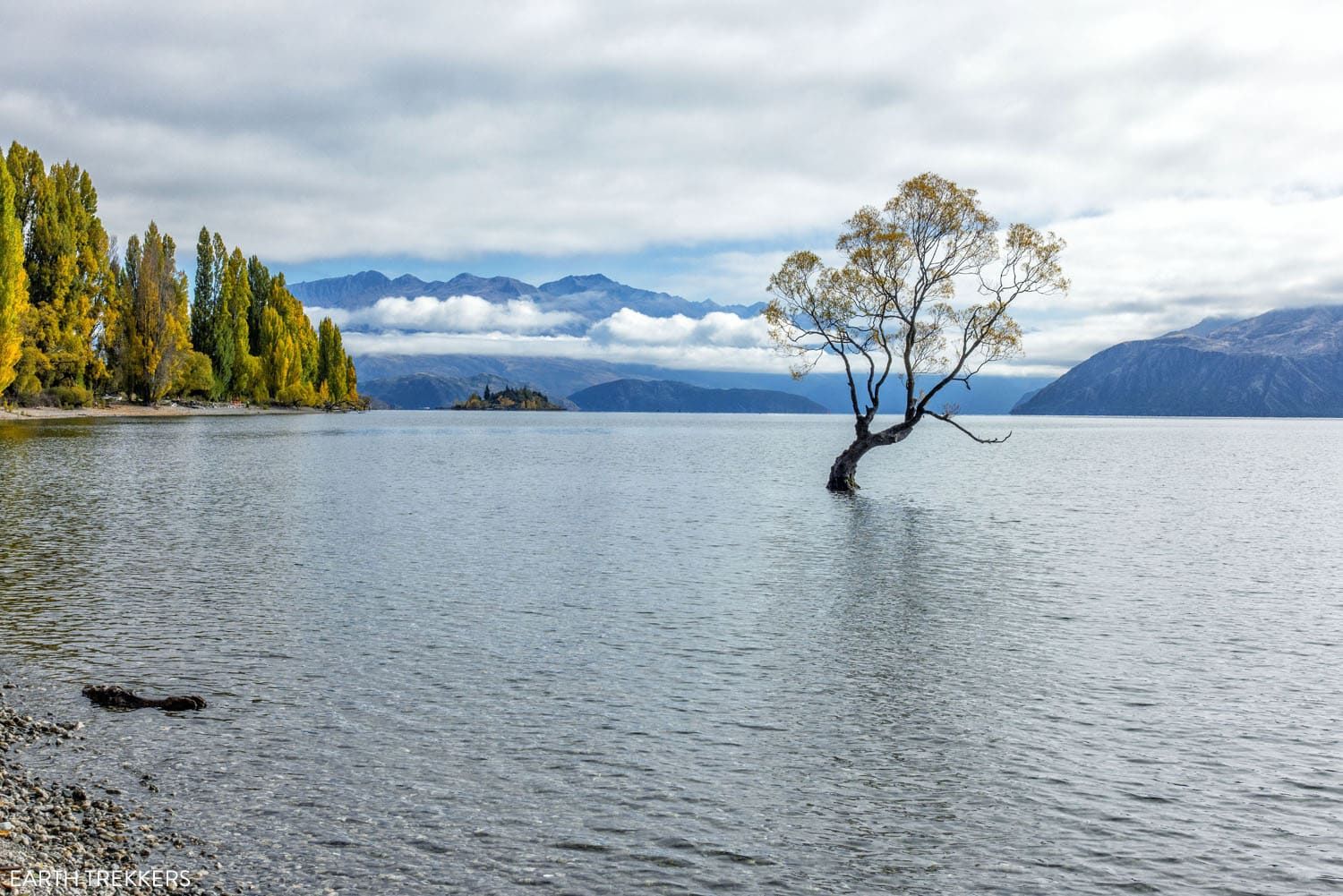 #ThatWanakaTree | Best Things to Do on the South Island