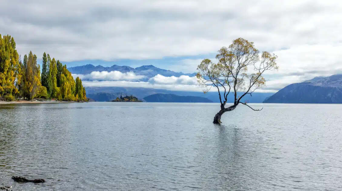 Wanaka New Zealand