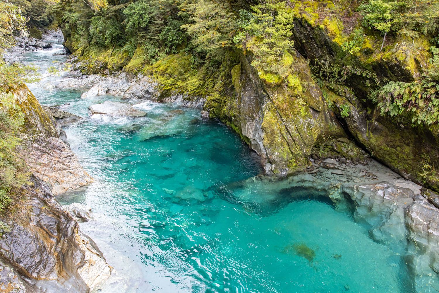 Blue Pools New Zealand | Two Week South Island New Zealand Itinerary