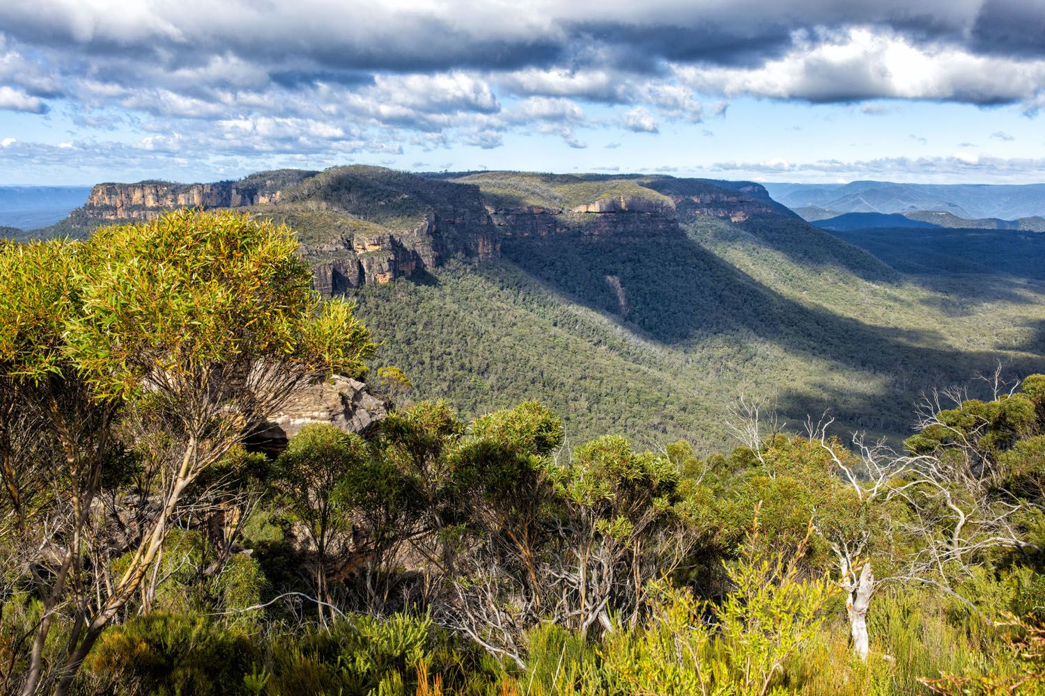 Boars Head Lookout | Best Things to Do in the Blue Mountains