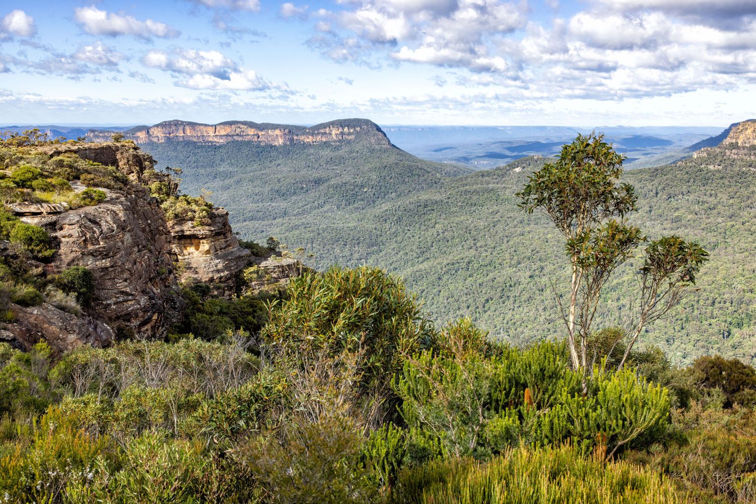 Landslide Lookout | One Day in the Blue Mountains