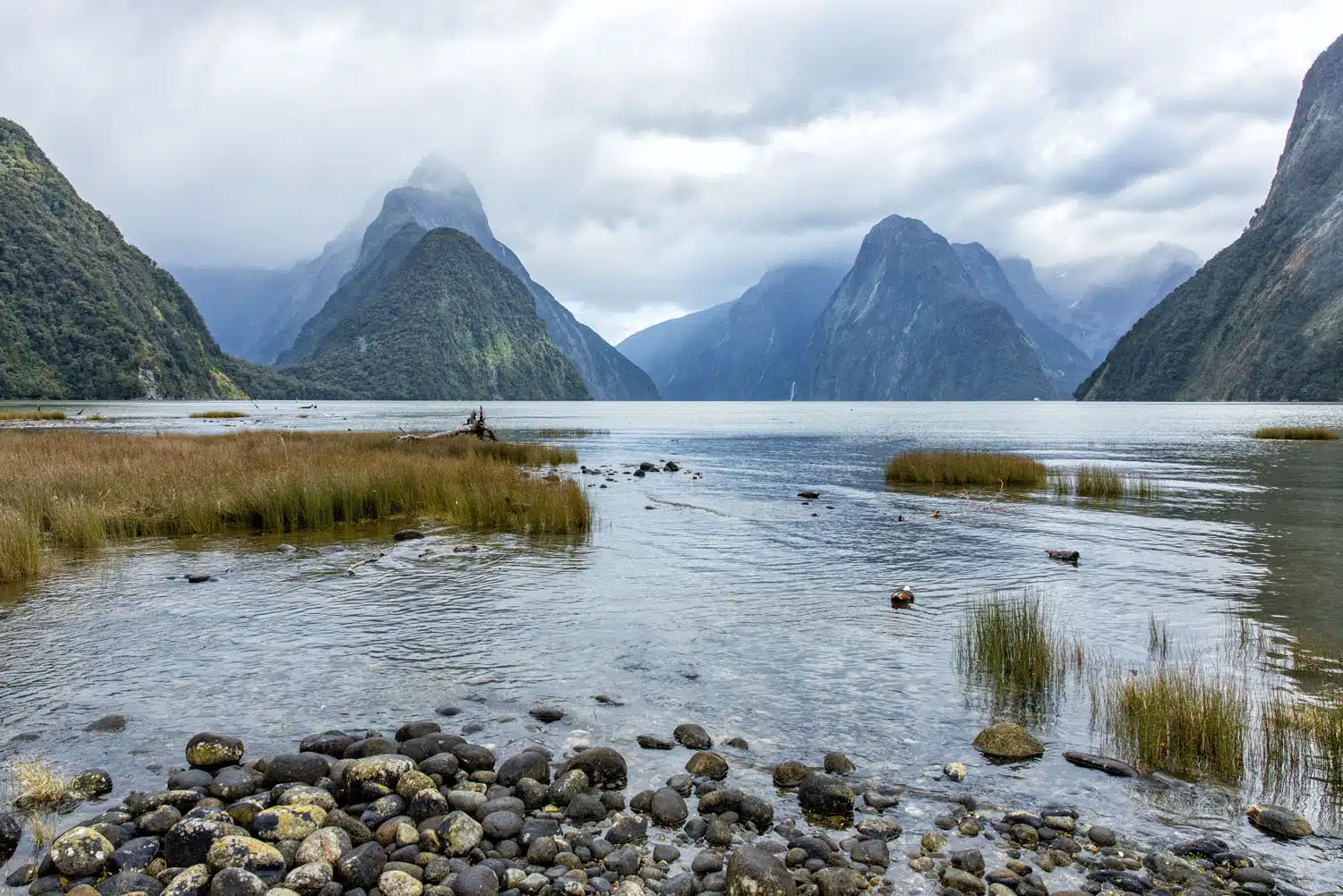 Milford Sound