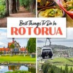 Best things to do in Rotorua, New Zealand. Zorbing, geothermal areas, Skyline Rotorua, cultural experiences, and more.