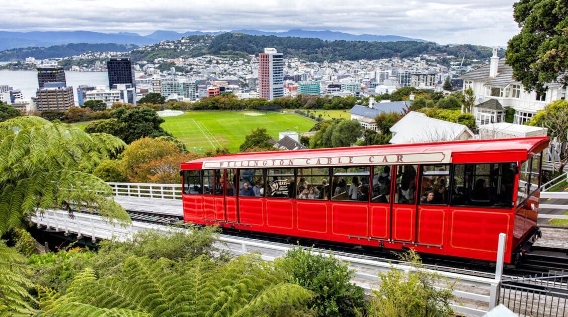 Things to do in Wellington