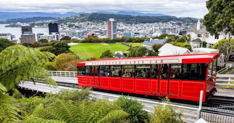 Things to do in Wellington