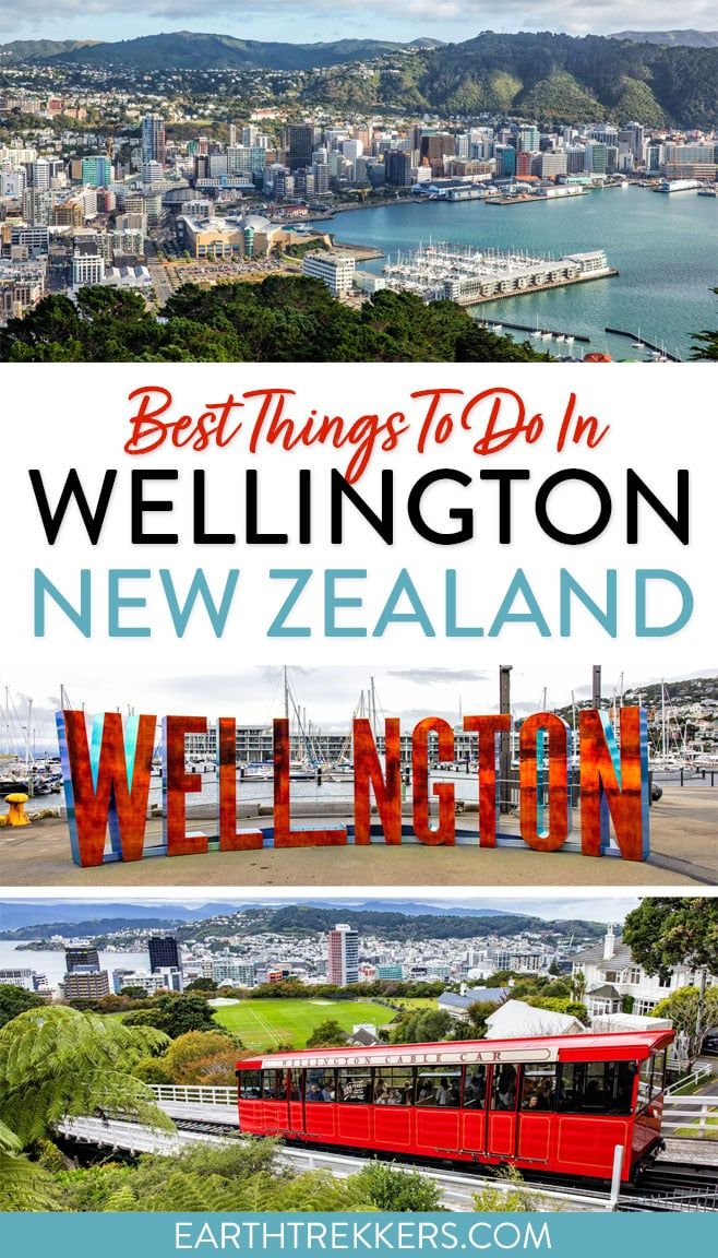 Wellington New Zealand Things to Do