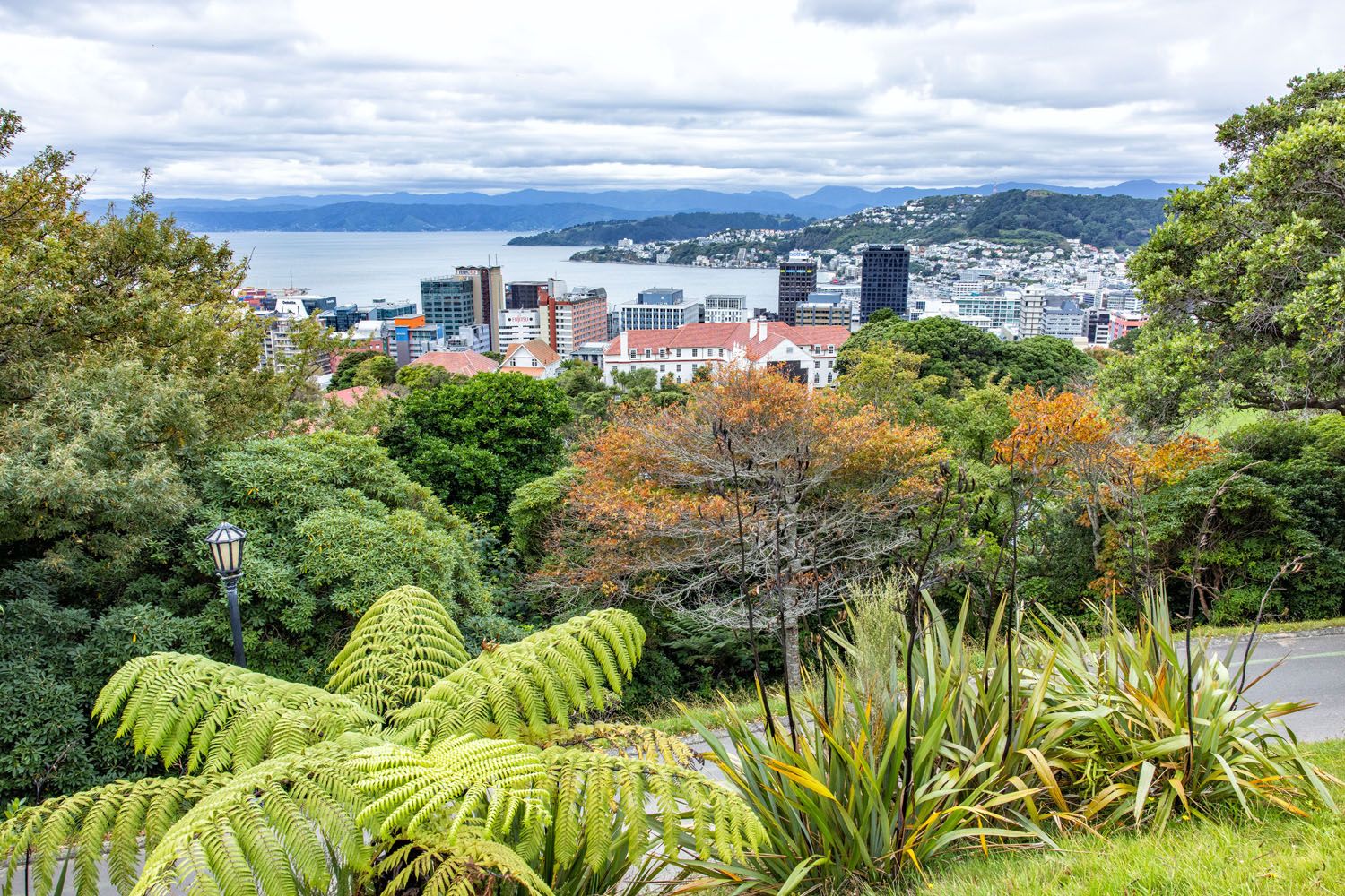 Wellington View Botanical Garden