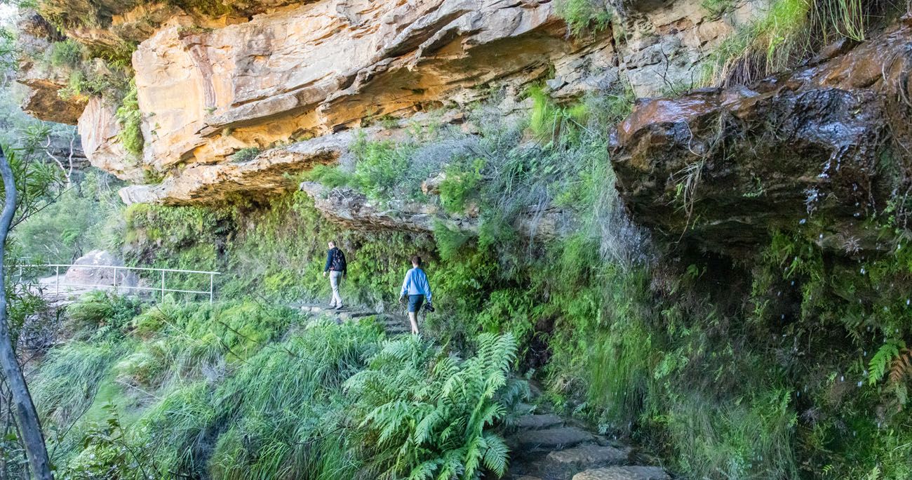 Wentworth Falls Track Loop Hike Blue Mountains, Australia Earth