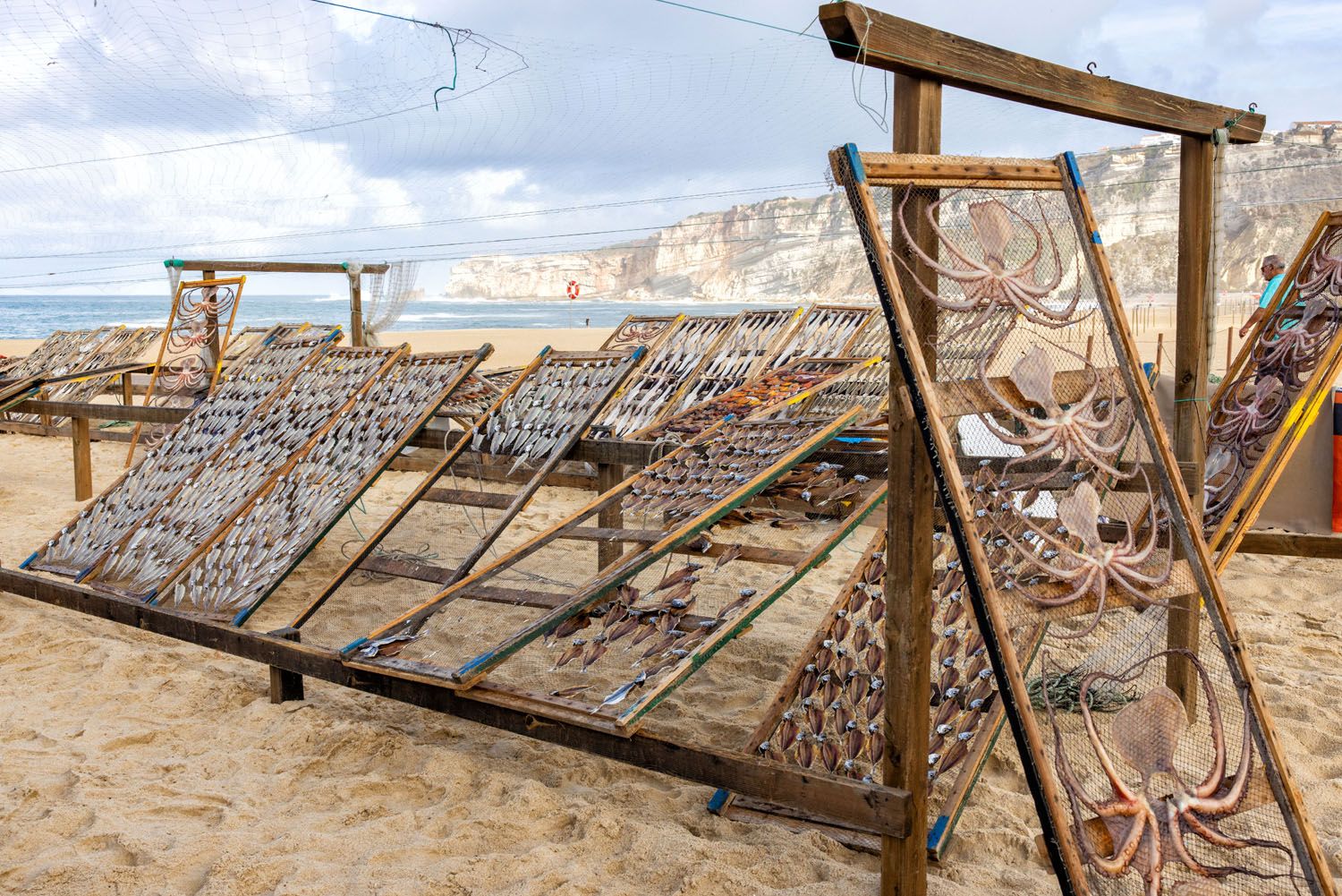 Dried Fish Museum Nazare | Best Things to Do in Nazaré