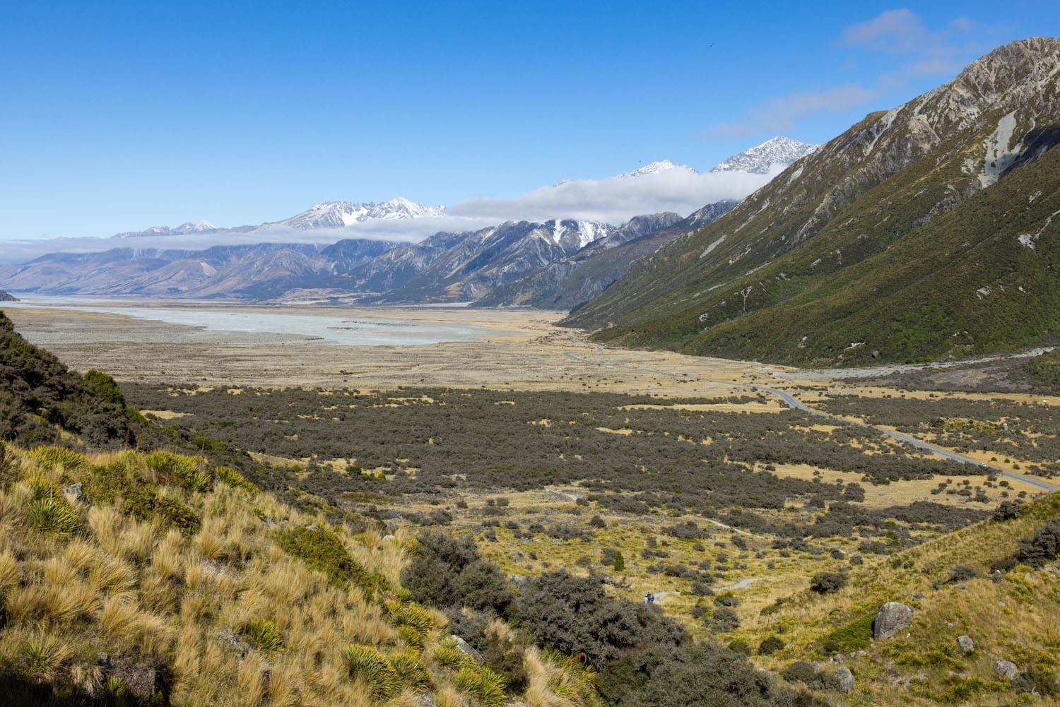 Tasman Valley View