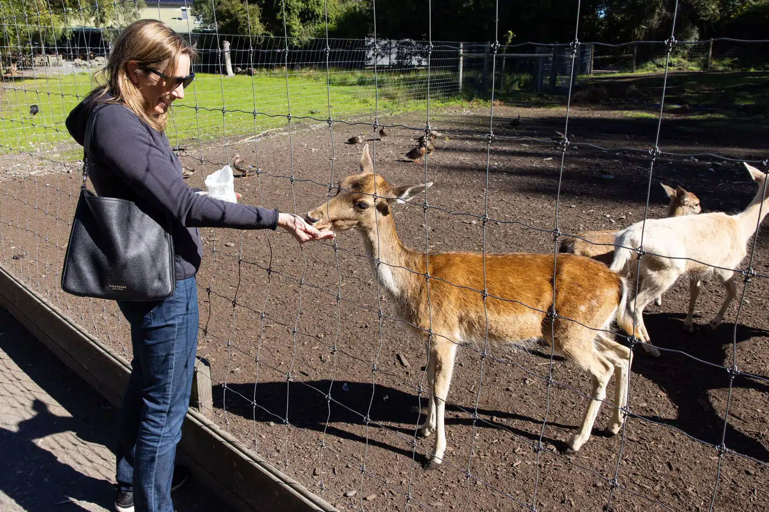 Julie in Christchurch