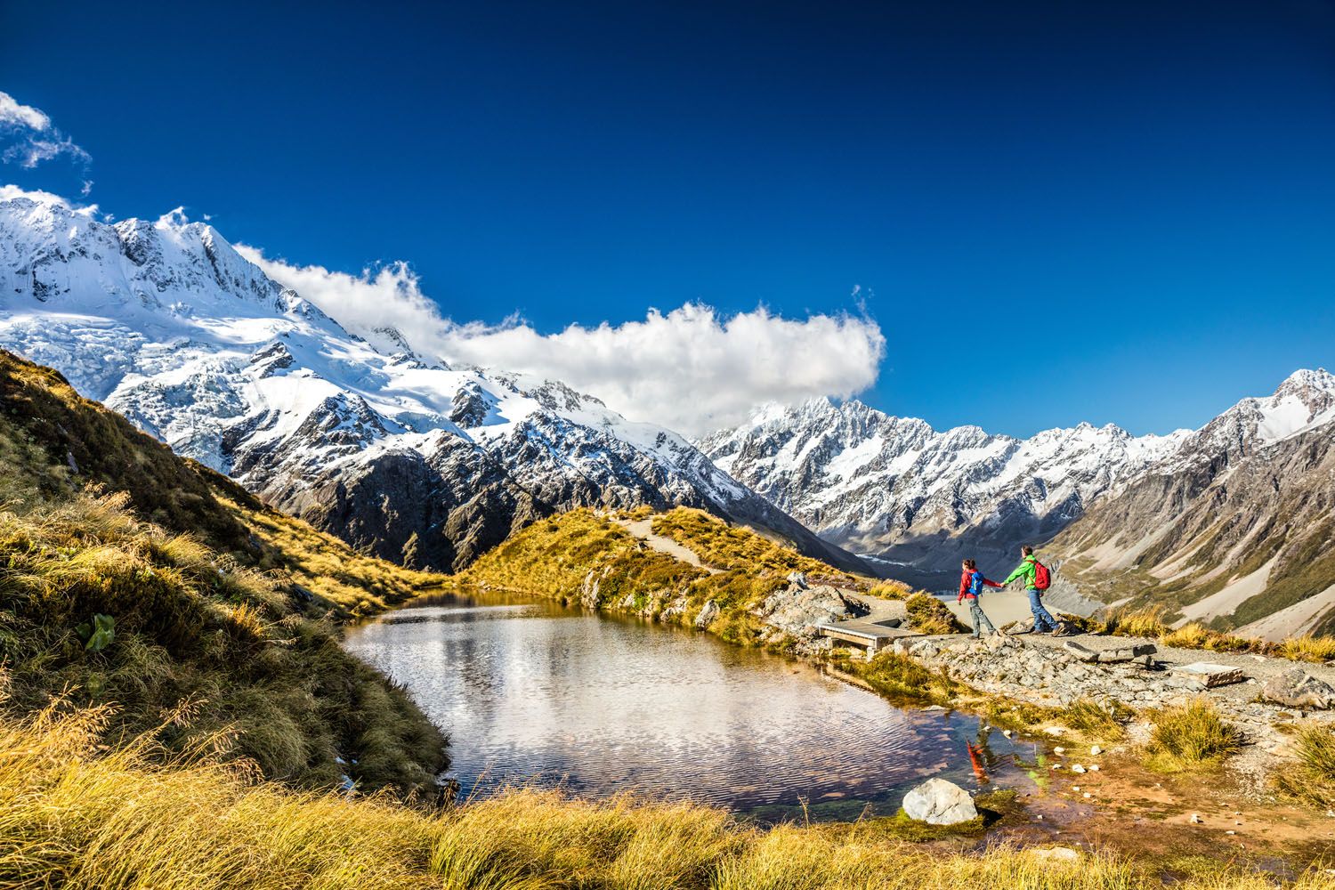 Sealy Tarns | Things to Do in Aoraki / Mount Cook National Park