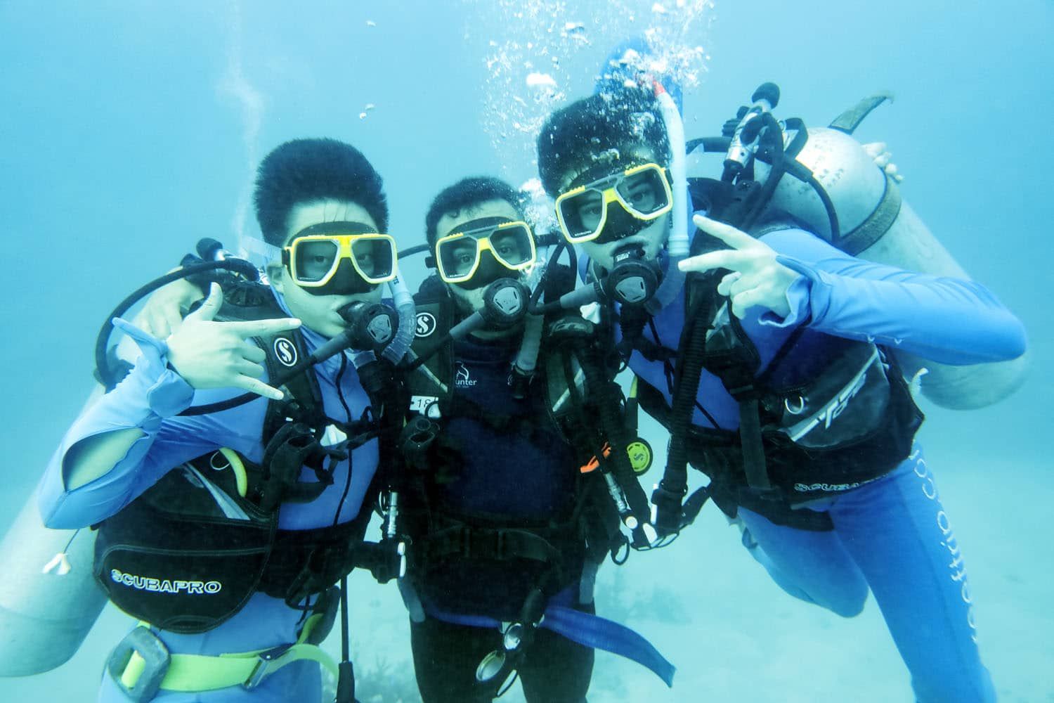 Tylers Scuba Friends | Liveaboard tours of the Great Barrier Reef