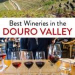 Best wineries and quintas to visit in the Douro Valley, Portugal. Best tours, tastings, and gourmet meals.