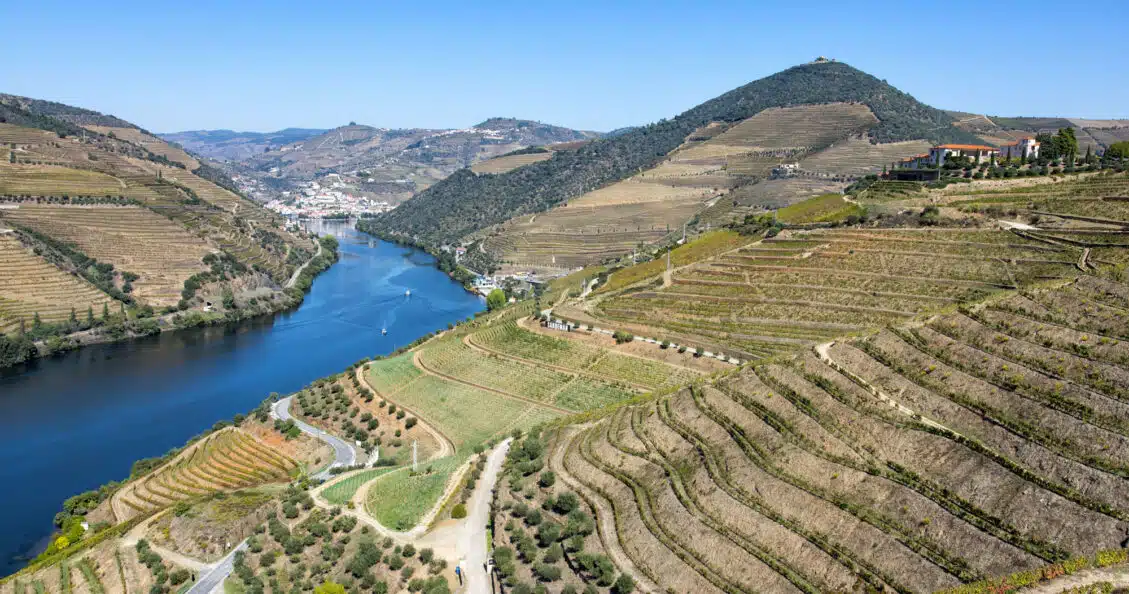 Best Douro Valley Wineries to Visit