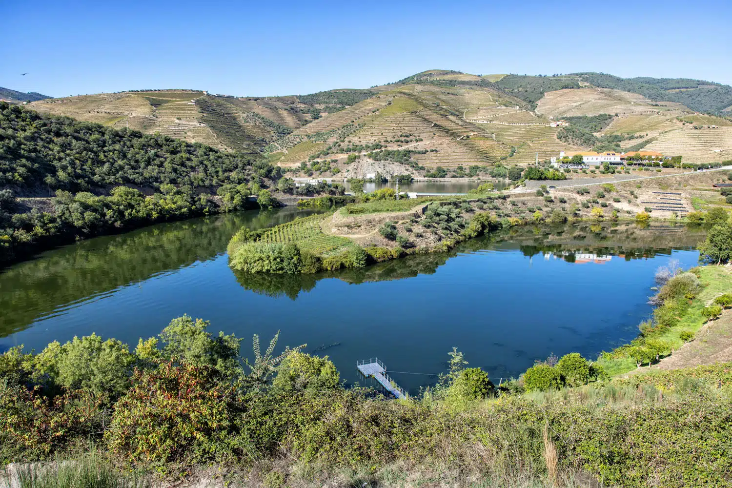 Quinta do Tedo Douro Valley | Douro Valley day trip from Porto