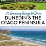 Best things to do in Dunedin and the Otago Peninsula, New Zealand. See penguins, visit Larnach Castle, and more.