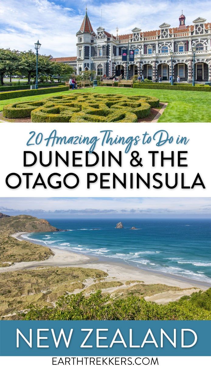 Best things to do in Dunedin and the Otago Peninsula, New Zealand. See penguins, visit Larnach Castle, and more.