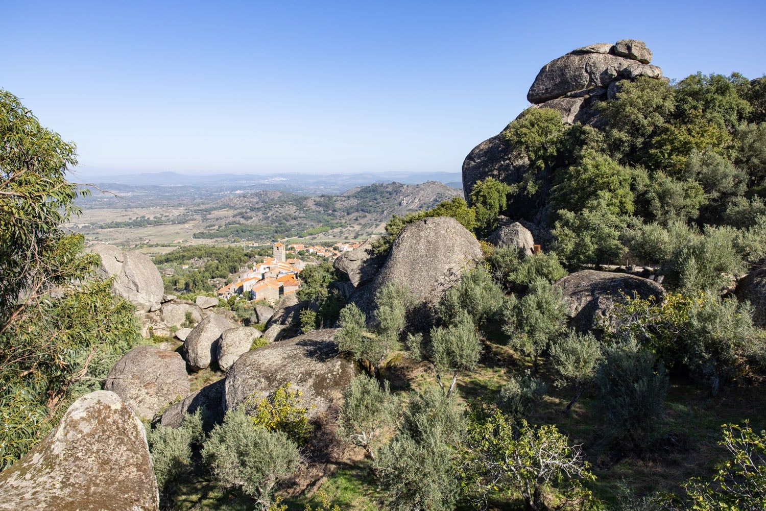 Distant Monsanto View