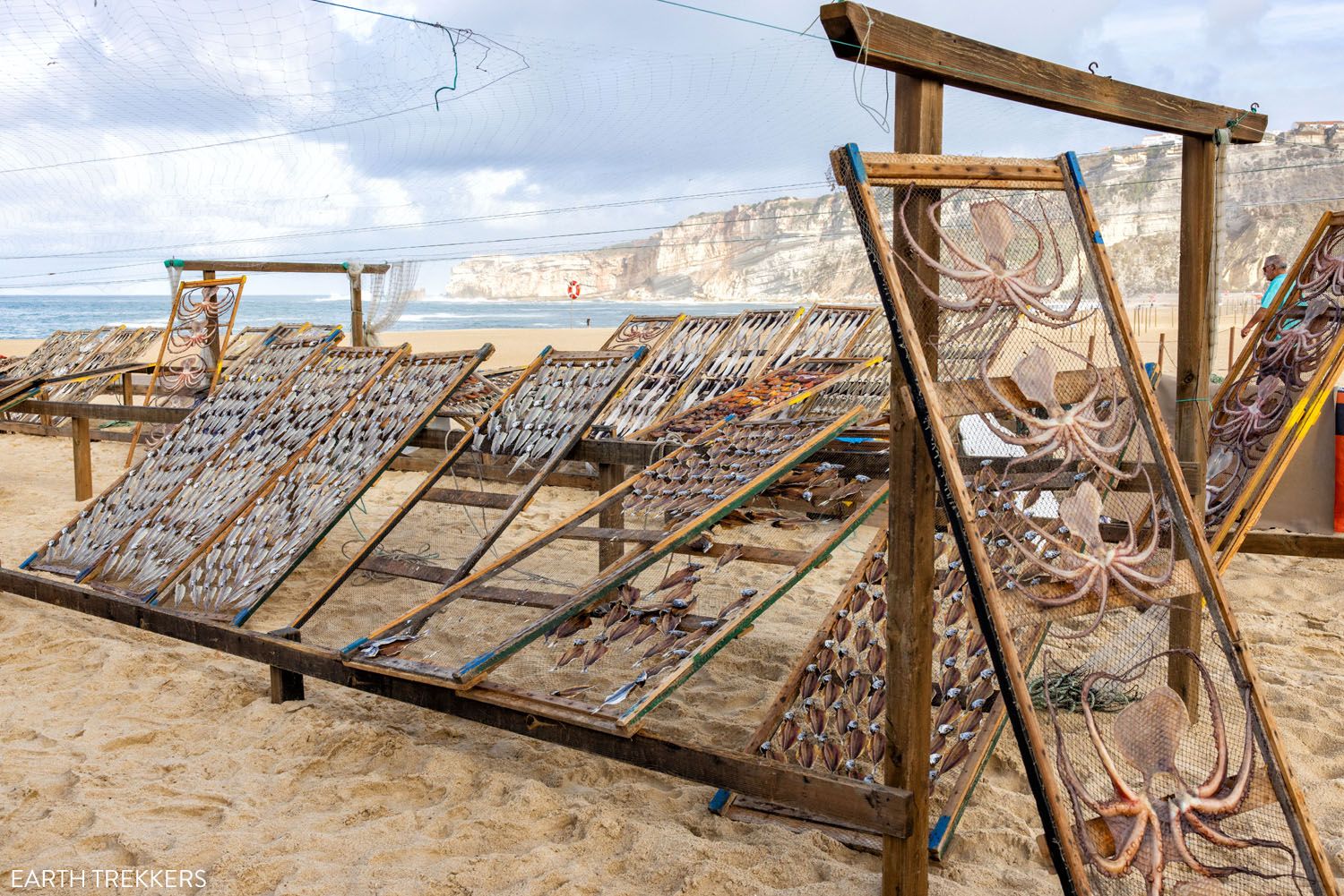 Dried Fish Nazare