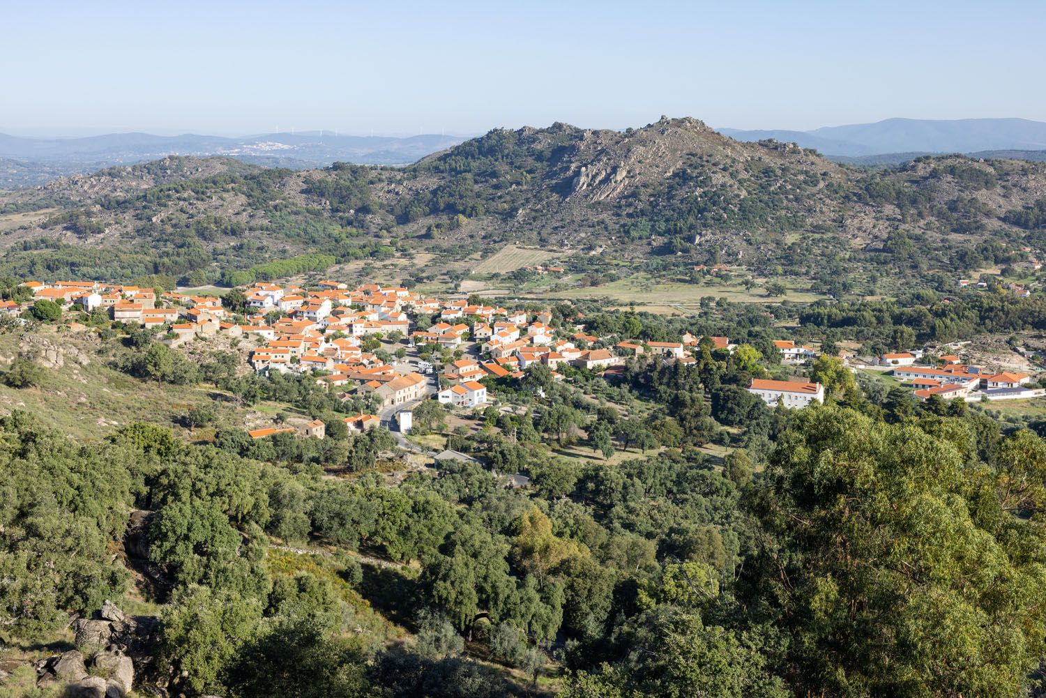 First View from Monsanto