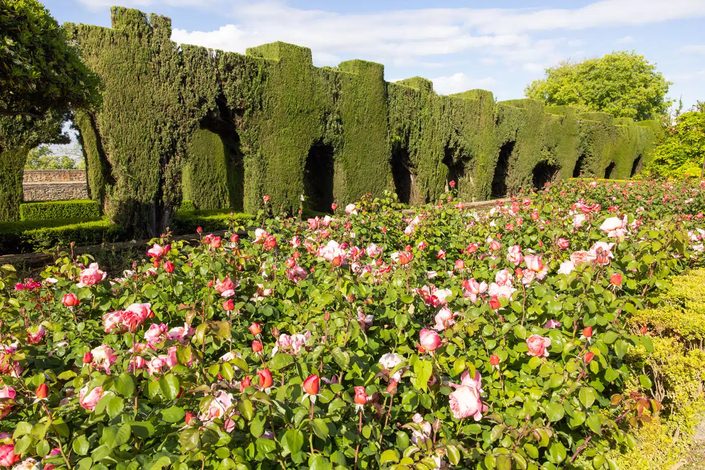Jardines de San Francisco