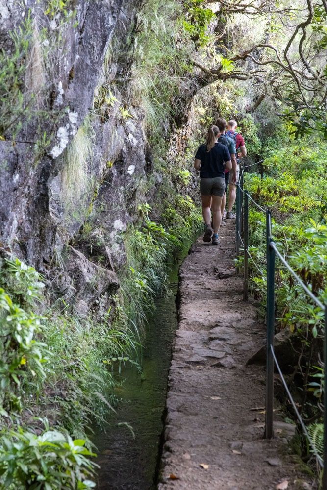 How to Hike Levada do Caldeirão Verde