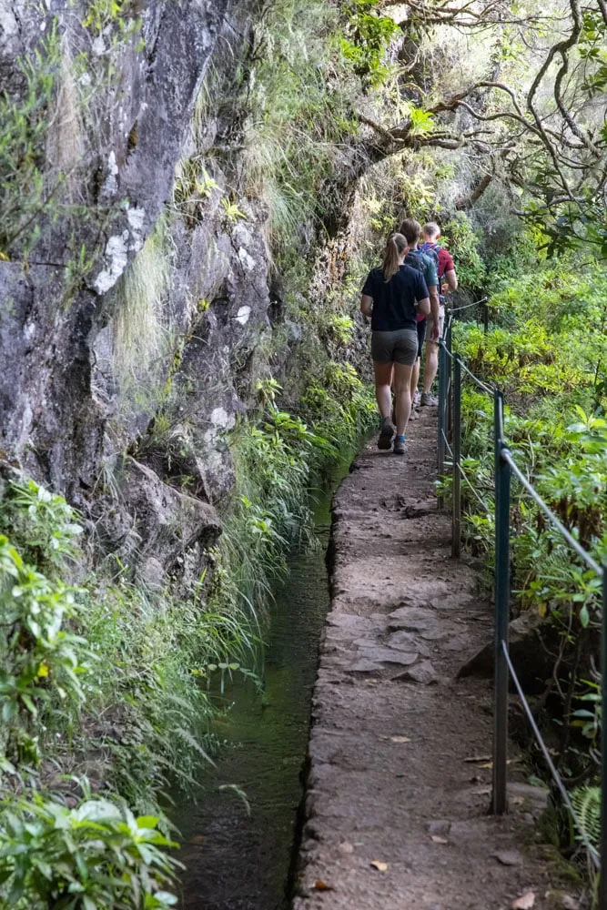 How to Hike Levada do Caldeirão Verde