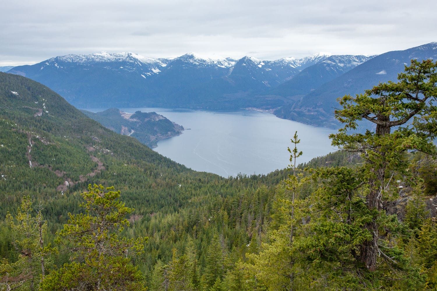 Suspension Bridge View