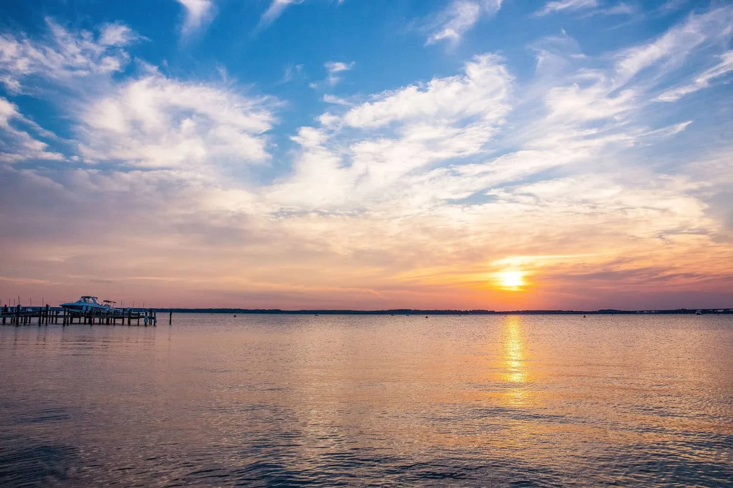 Choptank River Eagleman
