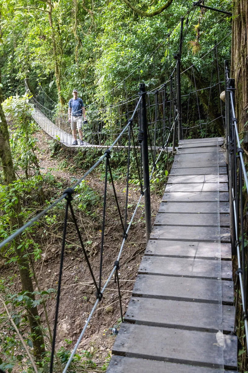 El Tigre Suspension Bridges Photo