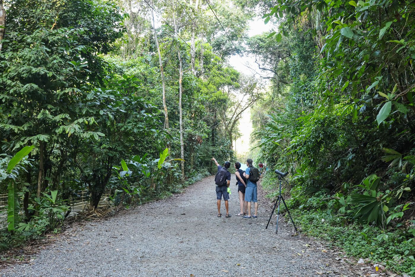 Manuel Antonio Main Path