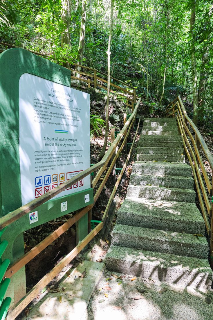 Punta Catedral Trail Steps