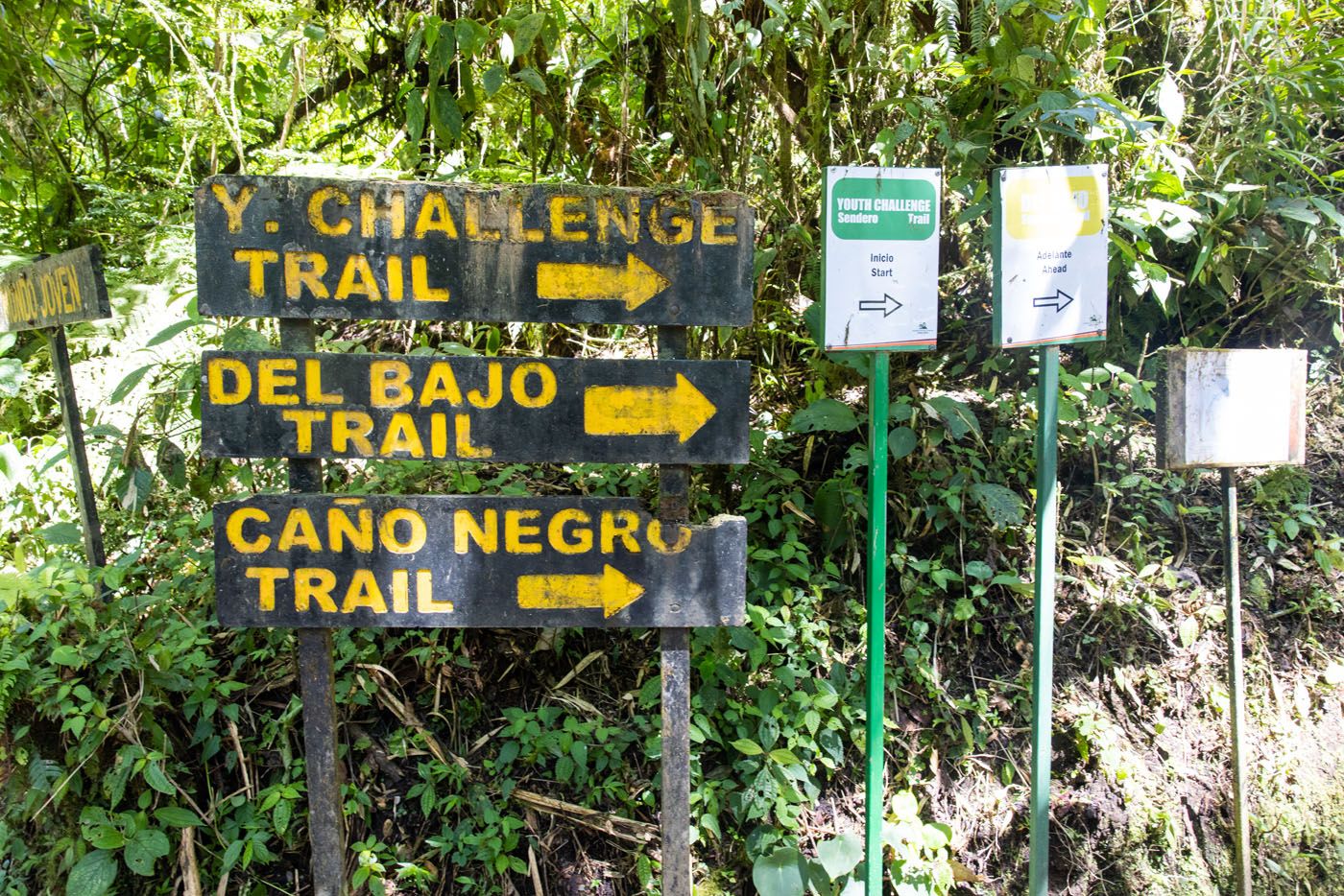 Santa Elena Cloud Forest Trails