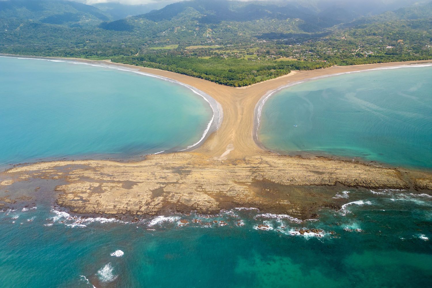 Costa Rica Whale Tail