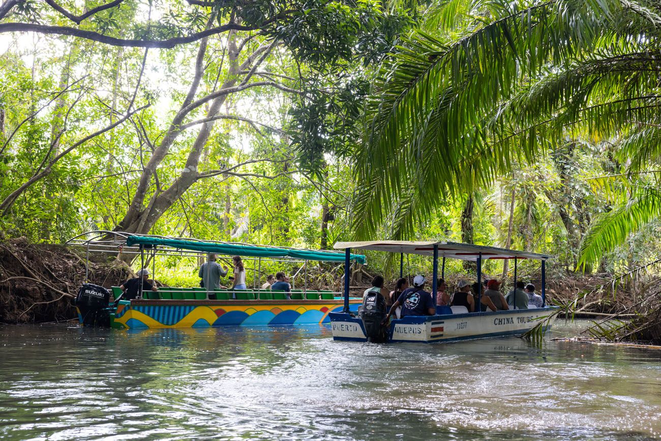 Damas Island Boat Tour