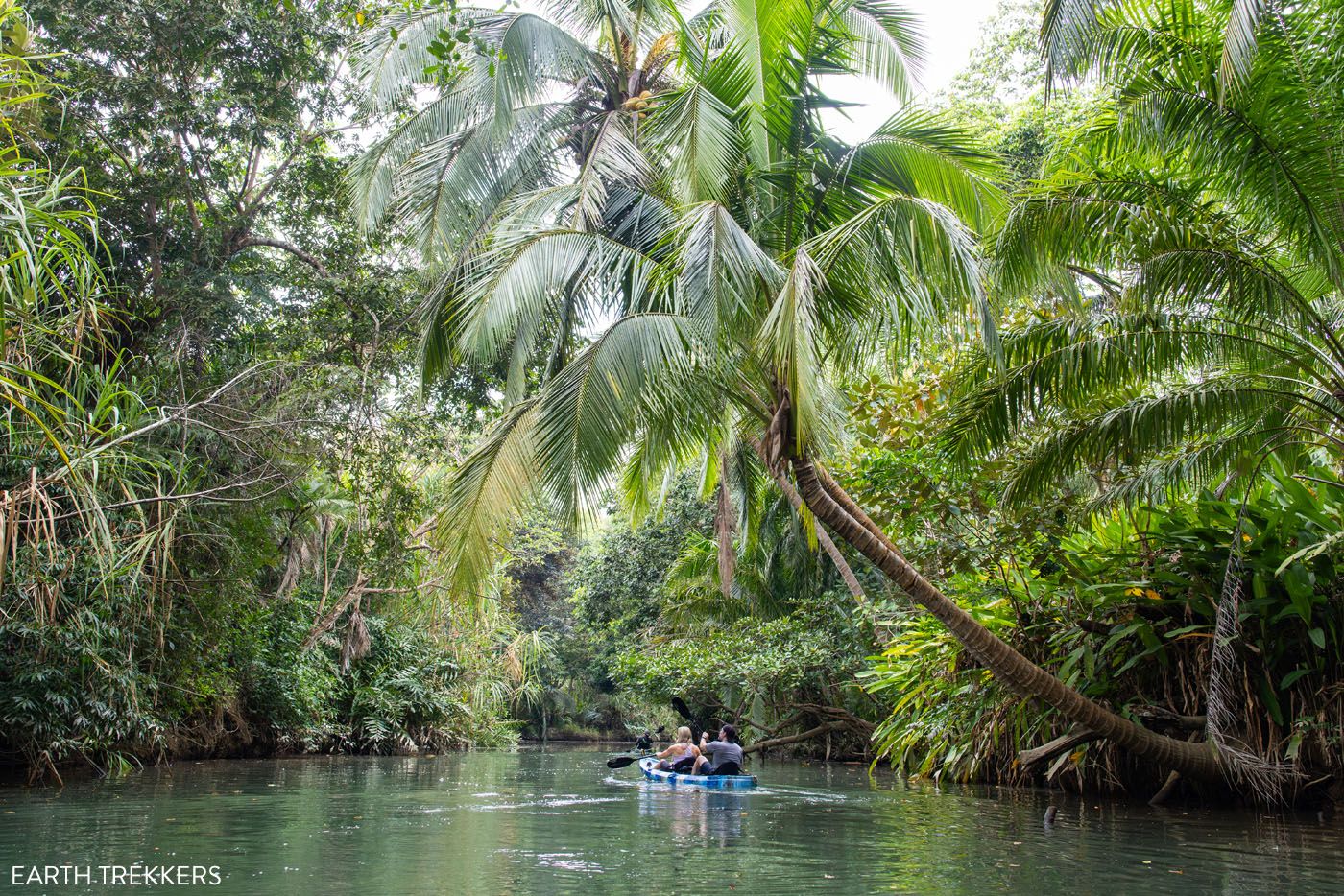 Damas Island Kayaking Tour